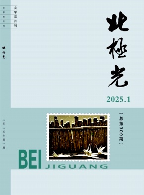 《北极光 》